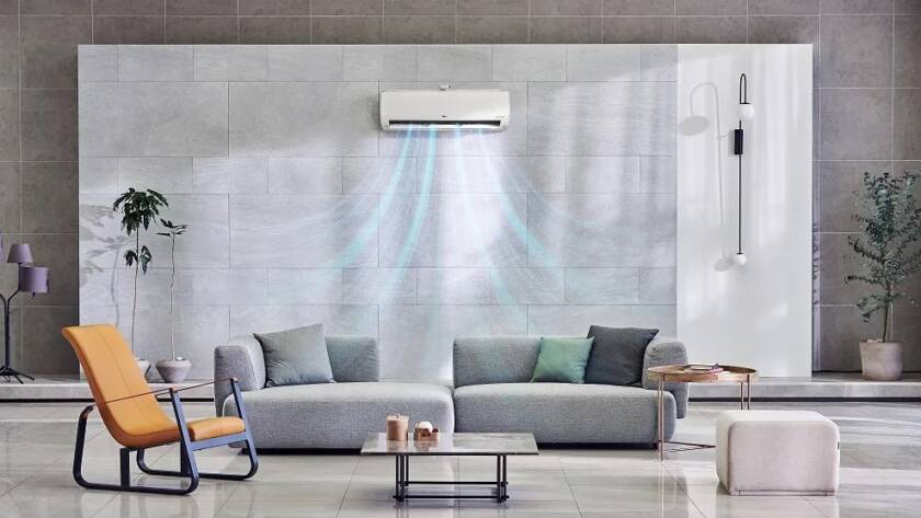 Aria purificata in casa: le migliori piante