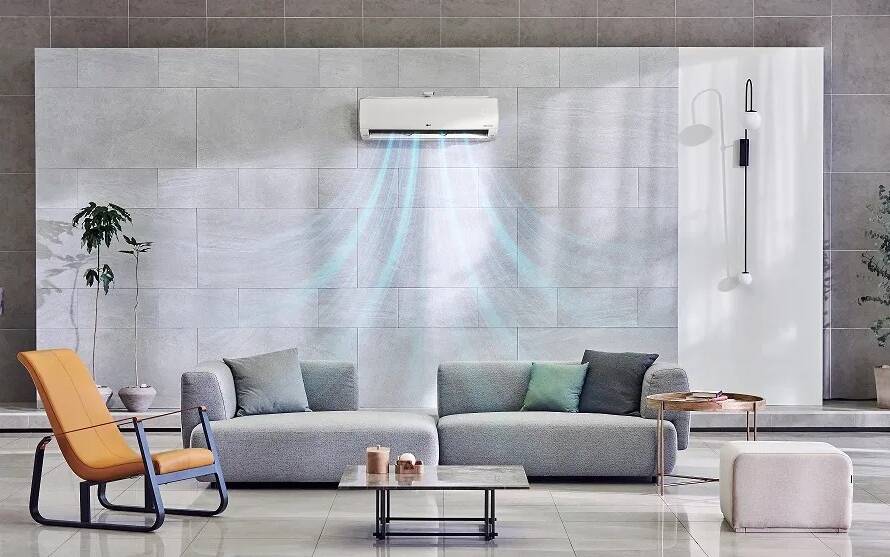 Aria purificata in casa: le migliori piante