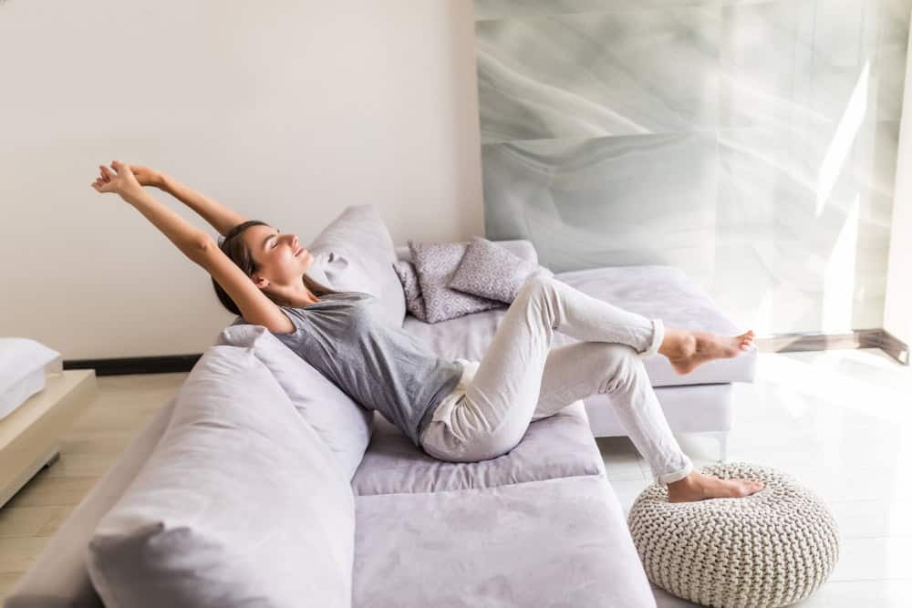 Aria purificata in casa: le migliori piante
